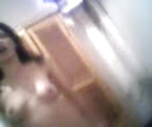 Con Chó lớn xoăn đứng trên một đường phim sex vlxx không che công cộng, vuông