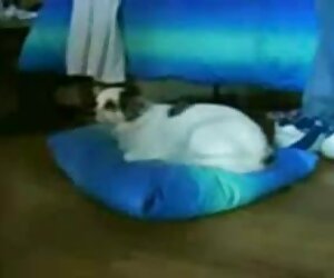 Tóc sex hd hay vàng, dài đam mê để hút